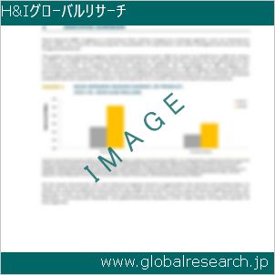 グローバルリサーチ調査レポートのイメージ